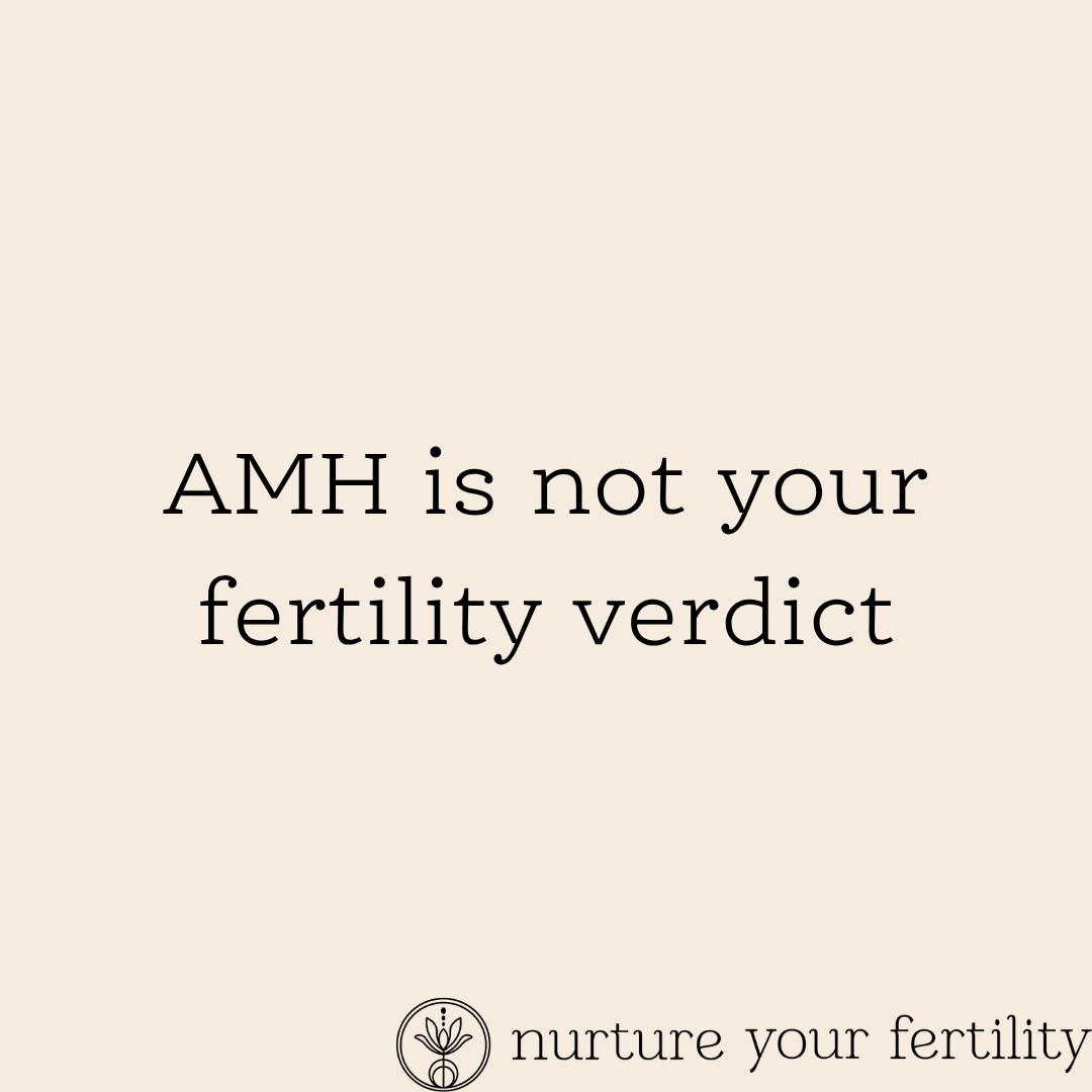 AMH is not your fertility verdict